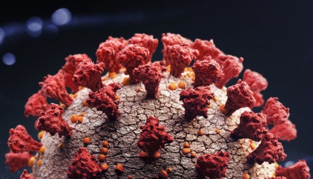 Full width Optimized