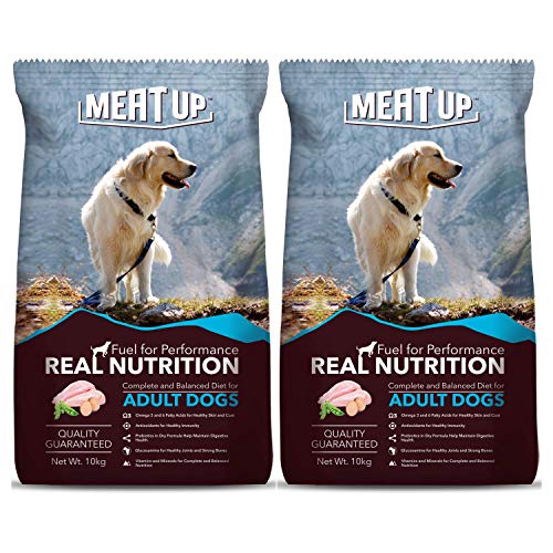 The Ultimate Canine Cuisine: Unleashing the Top Dog Food Brands