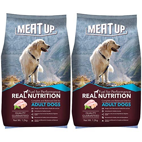 The Ultimate Guide to Dog Food – Top Picks and Reviews