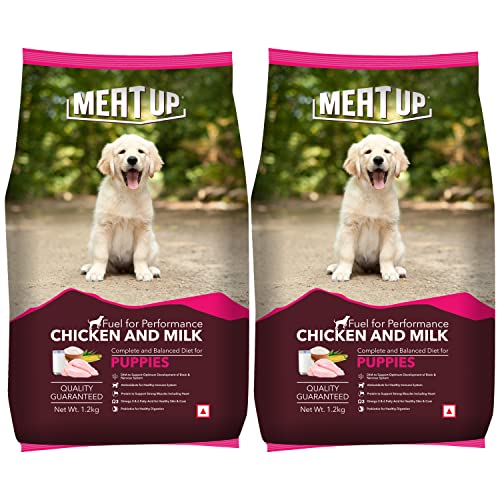 The Best Dog Food Choices: A Roundup for Your Canine Companion