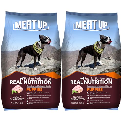 Bark-Worthy Best Dog Food Finds: A Tail-Wagging Roundup!