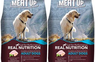 The Top Picks: The Best Dog Food Options for Your Beloved Pooch